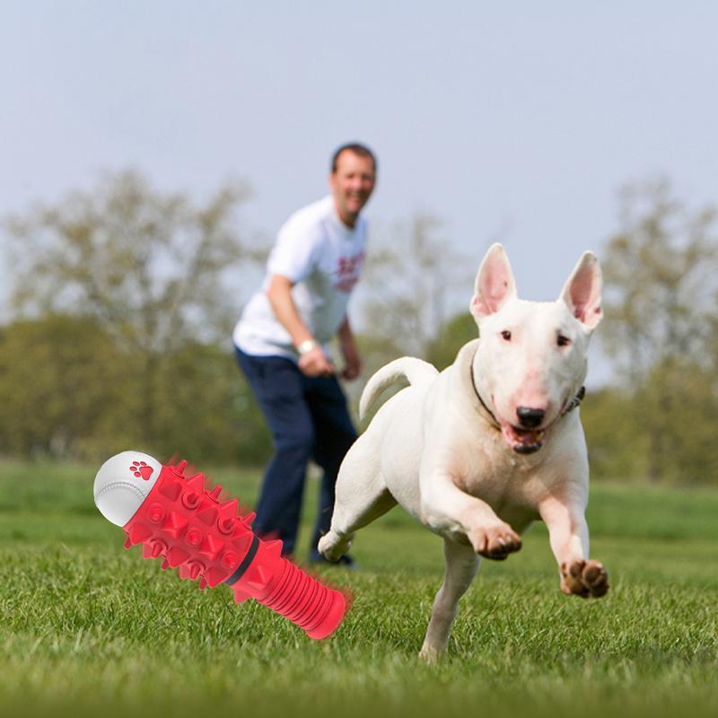 Dog Rubber Chewing Toy
