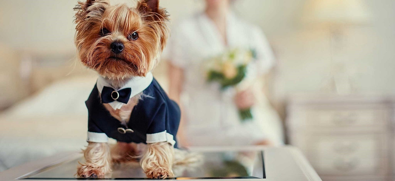 slider image slider_item_E4izk4