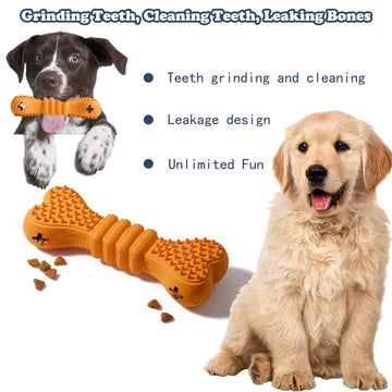 Dog Toothbrush Chew Toy Stick